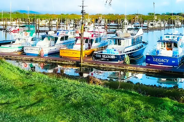 Port of Ilwaco Washington