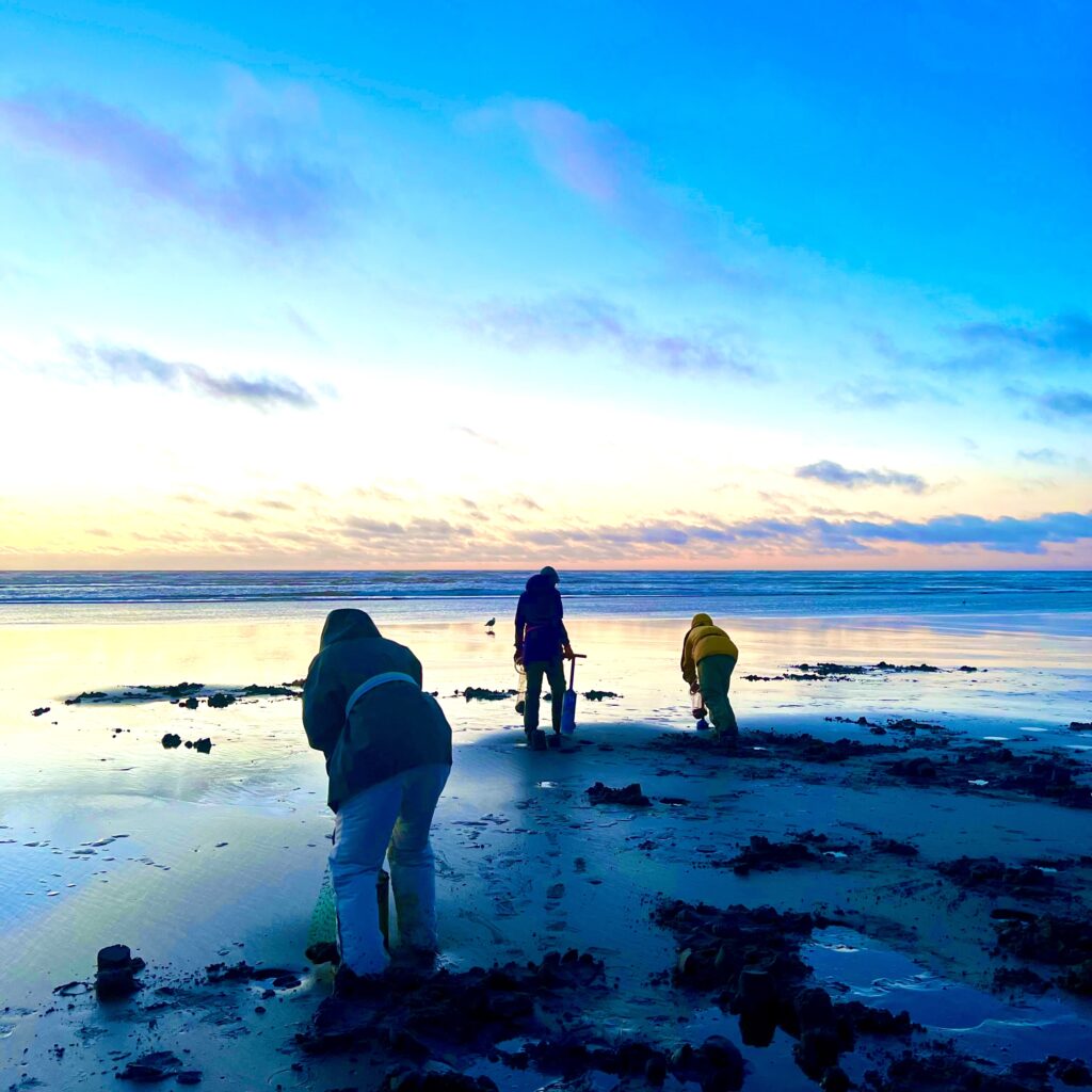 beach, clamming, ocean, resort