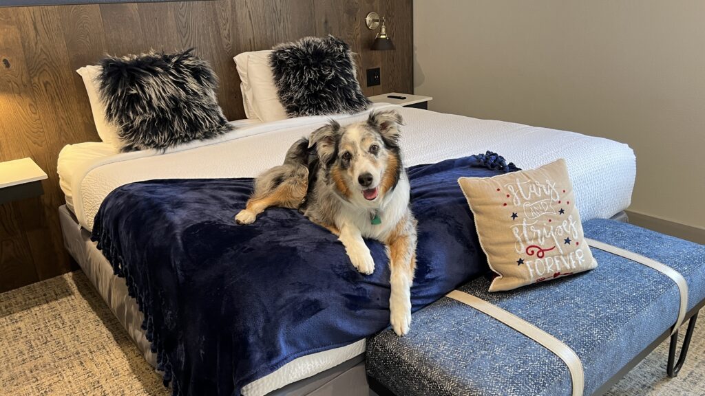 Dog Friendly Beach Resort in Washington