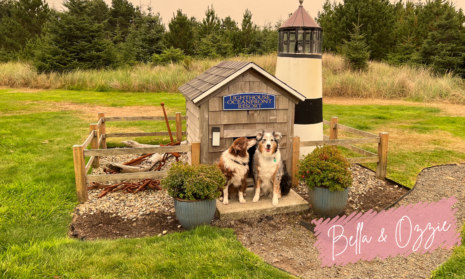 Dog Friendly Beach Resort in Washington